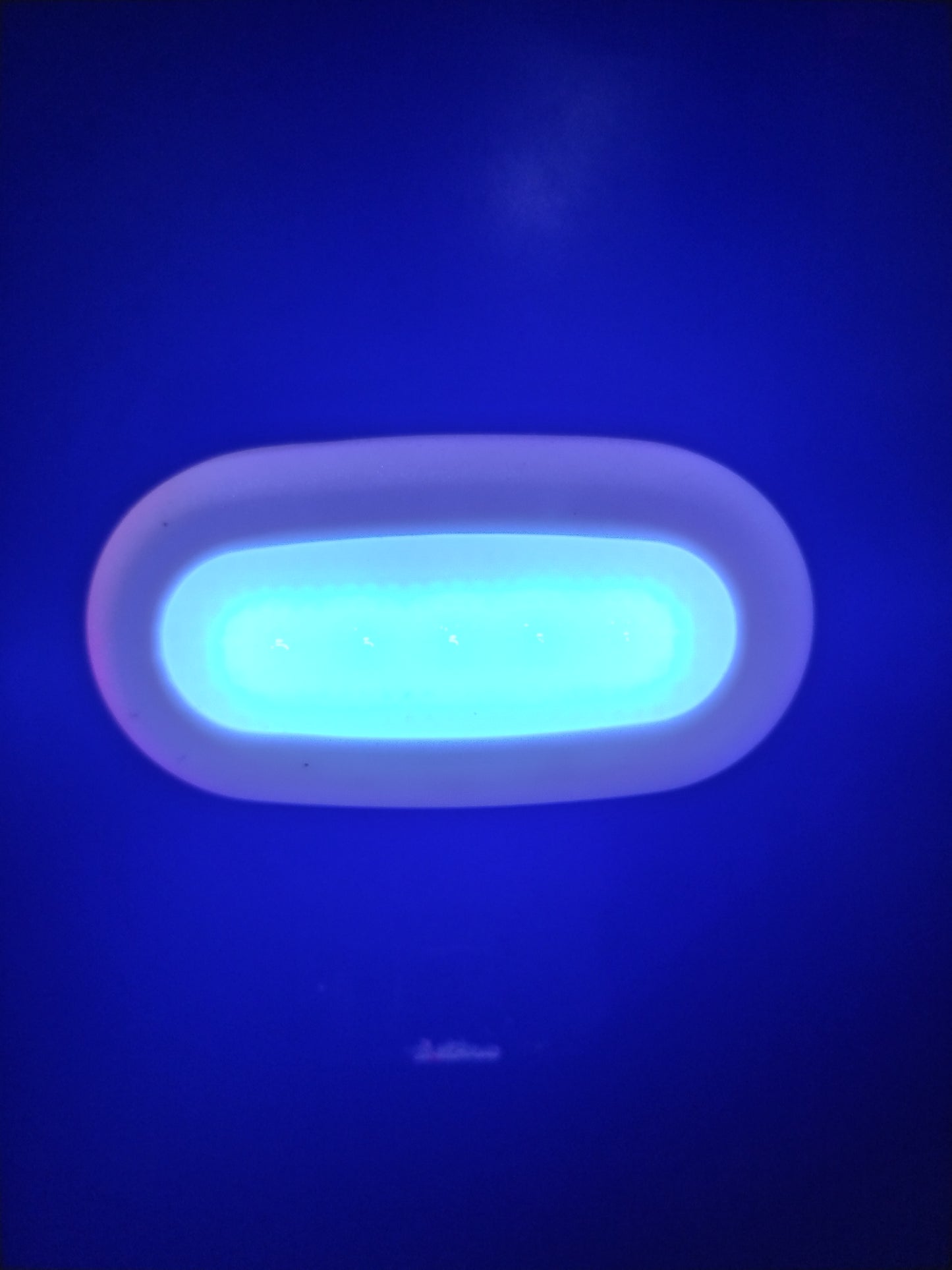 Courtesy Light Blue