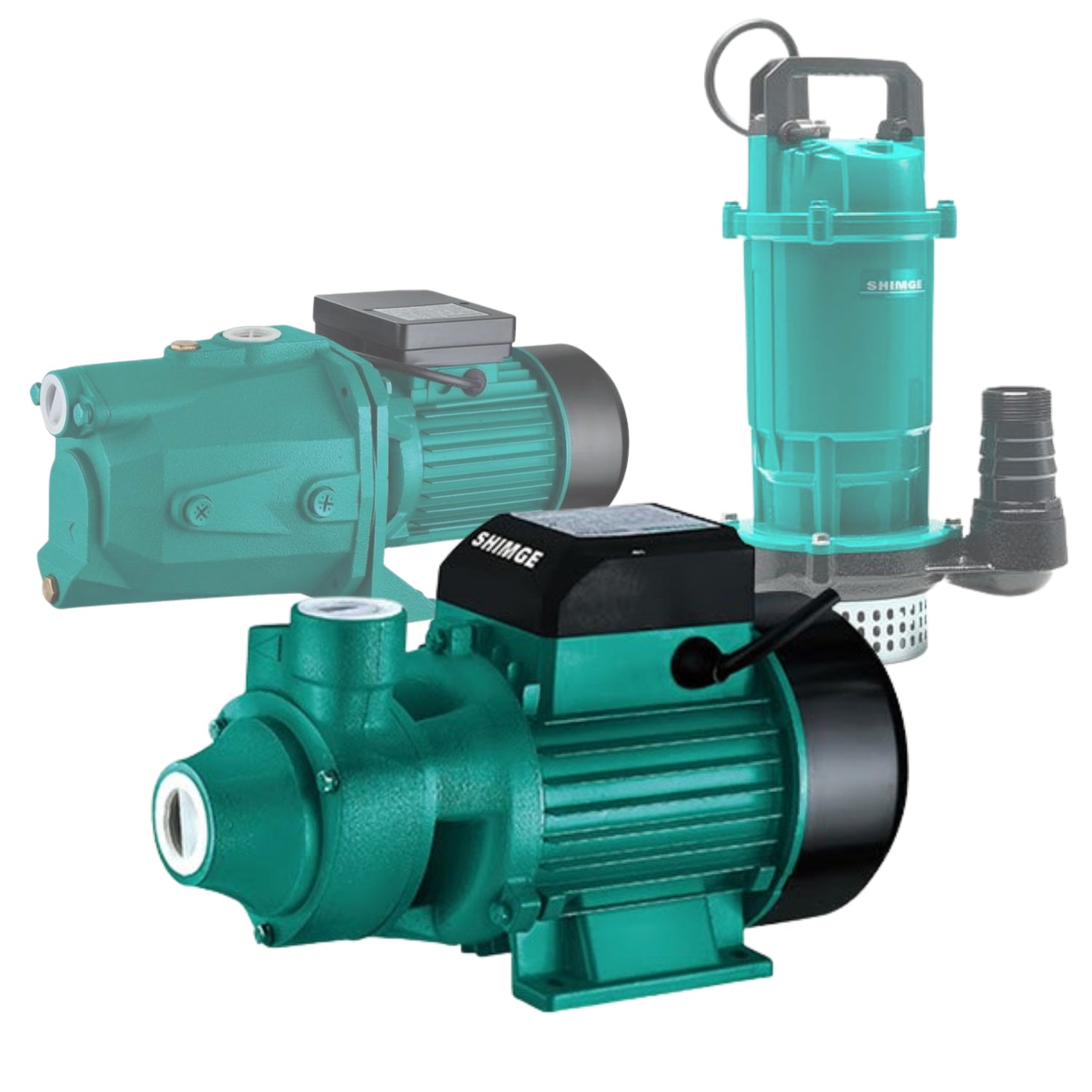 Collections NeXX Ltd